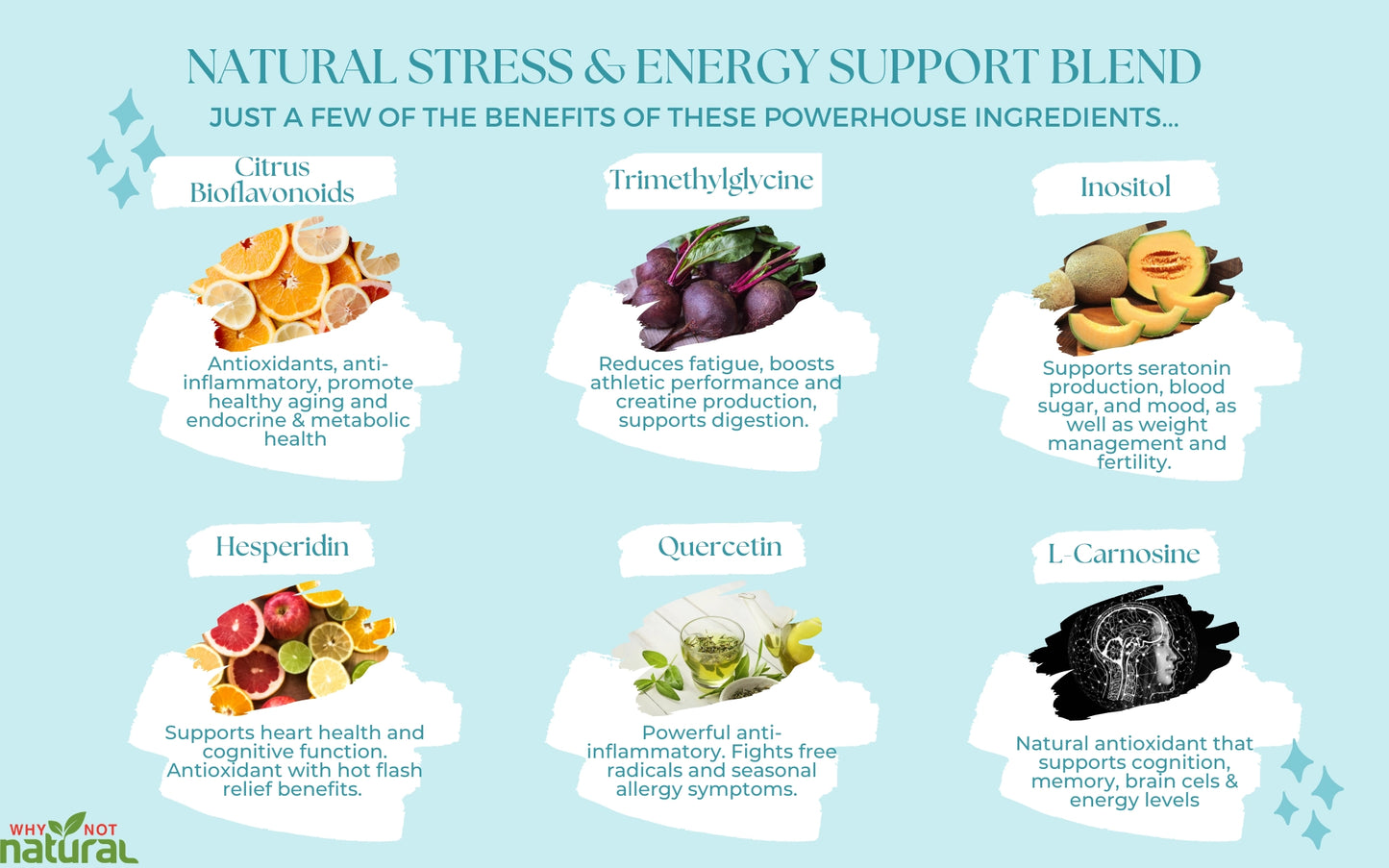 B Complex Liquid: All 8 B Vitamins +Natural Stress & Energy